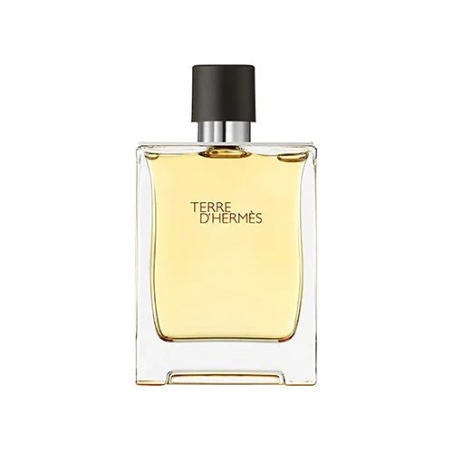 Hermes Terre D'hermes EDP 200ml em fundo claro